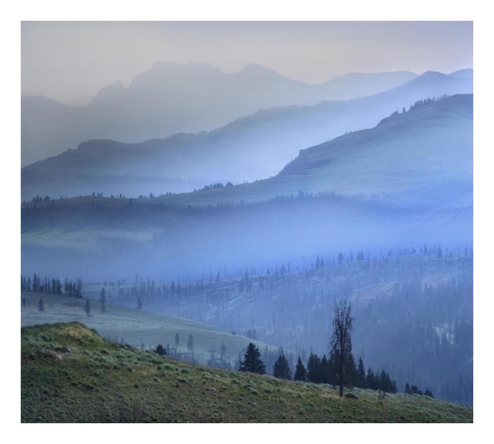 Mist Over Absaroka Range, Yellowstone National Park, Wyoming-Paper Art-24X21.58