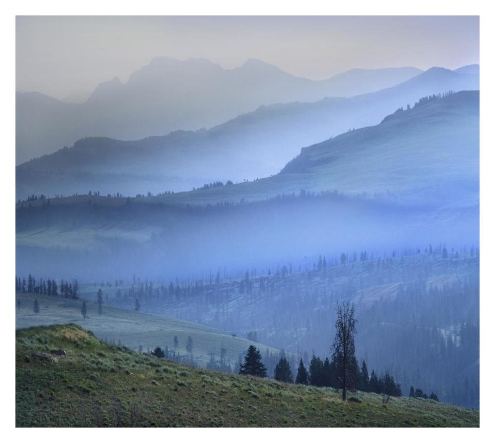 Mist Over Absaroka Range, Yellowstone National Park, Wyoming-Paper Art-32X28.7
