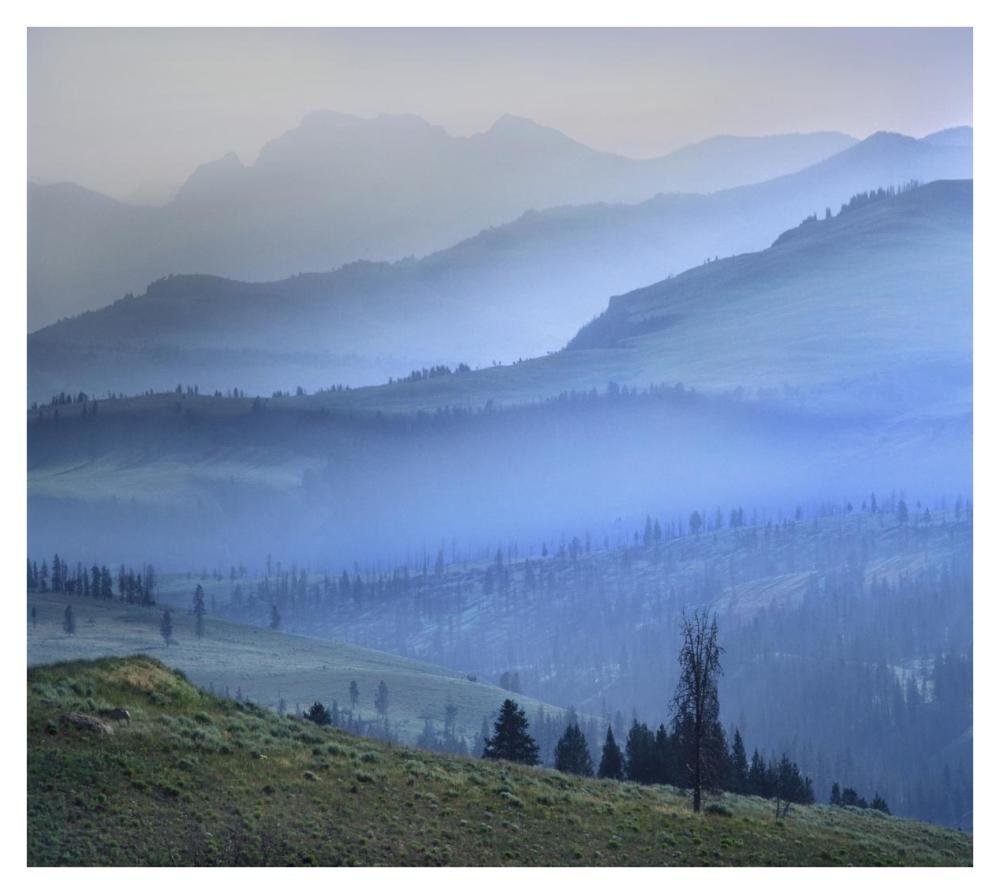 Mist Over Absaroka Range, Yellowstone National Park, Wyoming-Paper Art-38X34.04