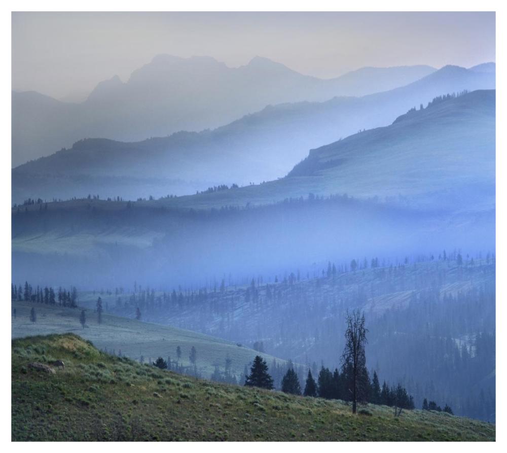 Mist Over Absaroka Range, Yellowstone National Park, Wyoming-Paper Art-46X41.16
