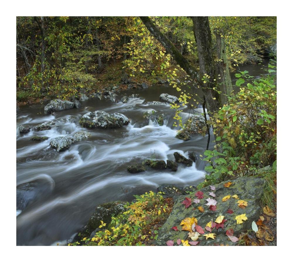 Little River, Great Smoky Mountains National Park, Tennessee-Paper Art-18X16.08