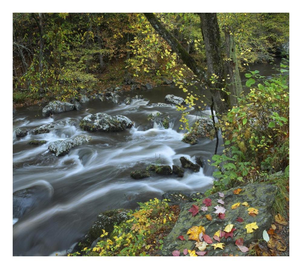 Little River, Great Smoky Mountains National Park, Tennessee-Paper Art-24X21.36