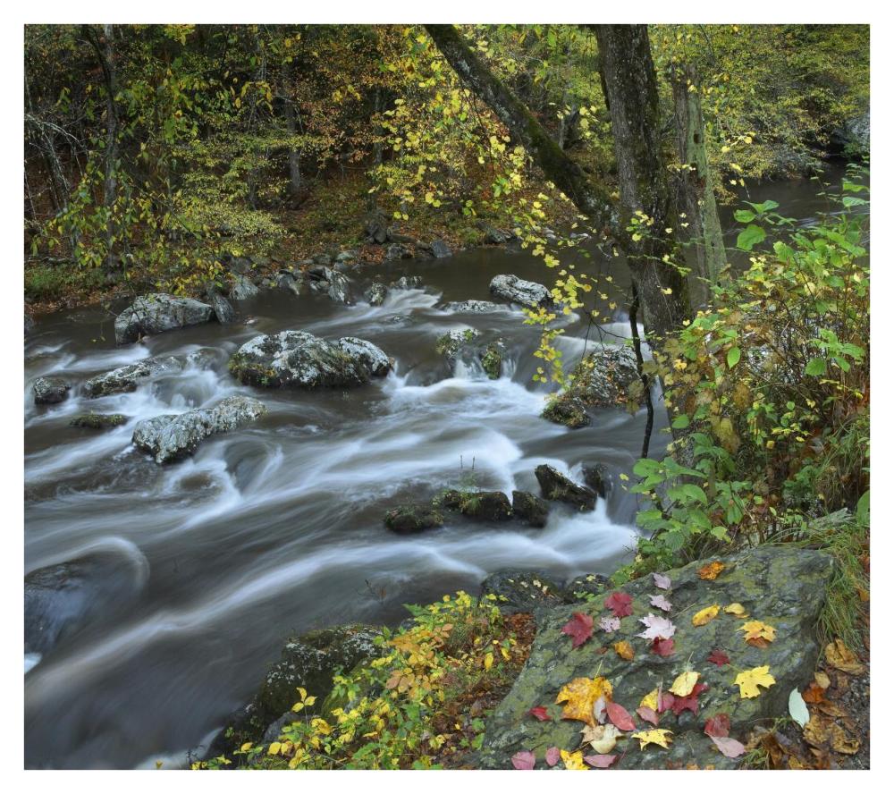 Little River, Great Smoky Mountains National Park, Tennessee-Paper Art-38X33.68