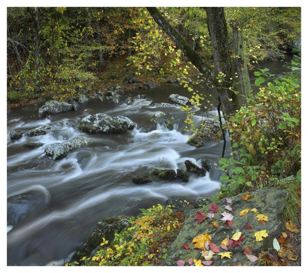 Little River, Great Smoky Mountains National Park, Tennessee-Paper Art-46X40.72