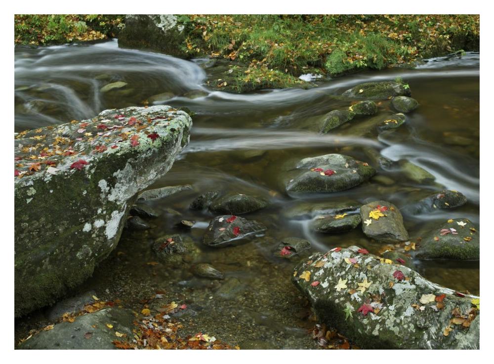 Laurel Creek, Great Smoky Mountains National Park, Tennessee-Paper Art-18X14