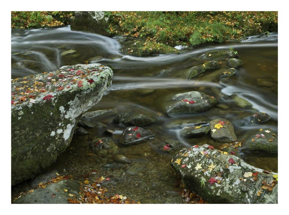 Laurel Creek, Great Smoky Mountains National Park, Tennessee-Paper Art-26X20