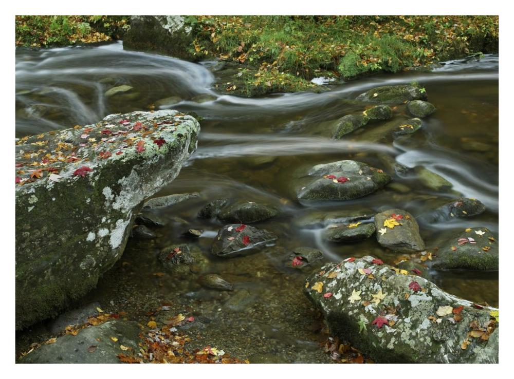 Laurel Creek, Great Smoky Mountains National Park, Tennessee-Paper Art-34X26
