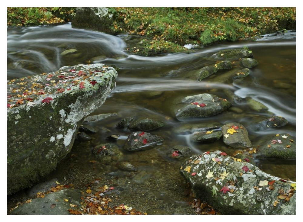 Laurel Creek, Great Smoky Mountains National Park, Tennessee-Paper Art-42X32