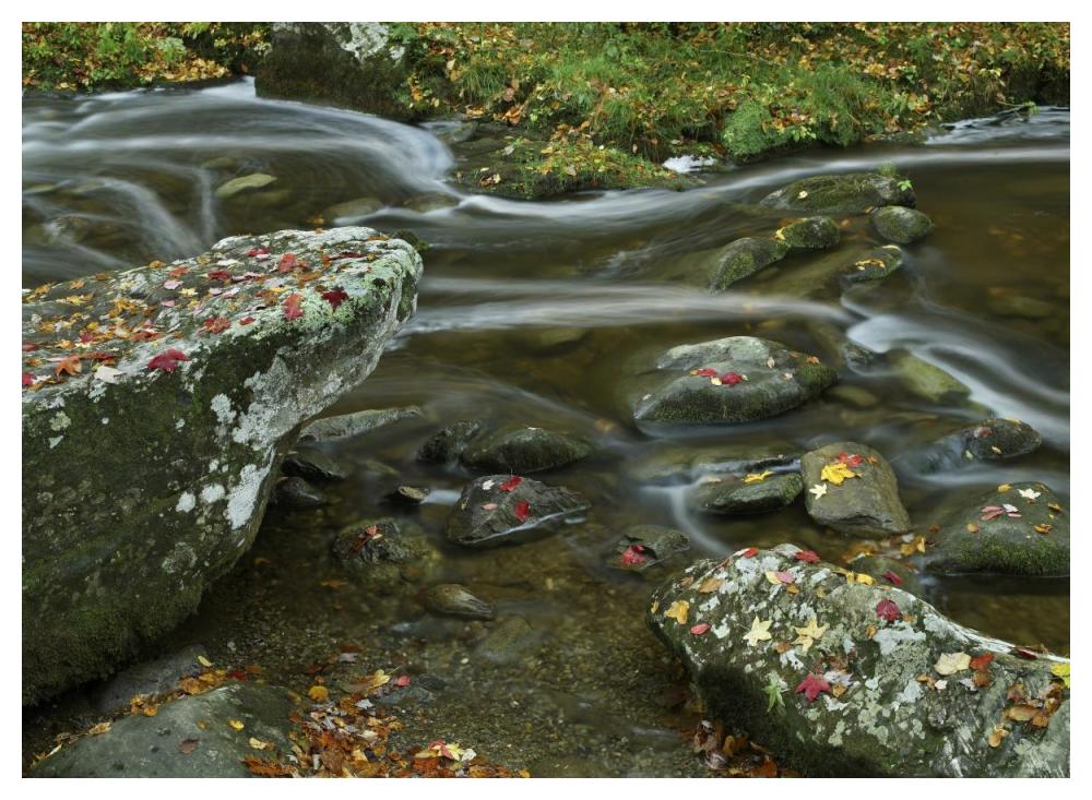 Laurel Creek, Great Smoky Mountains National Park, Tennessee-Paper Art-50X38