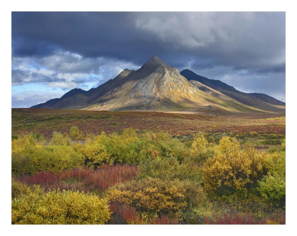 Ogilvie Mountains, Tombstone Territorial Park, Yukon, Canada-Paper Art-26X20