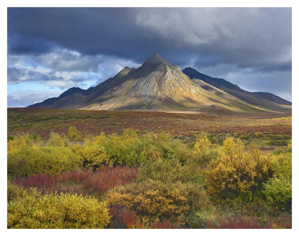 Ogilvie Mountains, Tombstone Territorial Park, Yukon, Canada-Paper Art-42X32