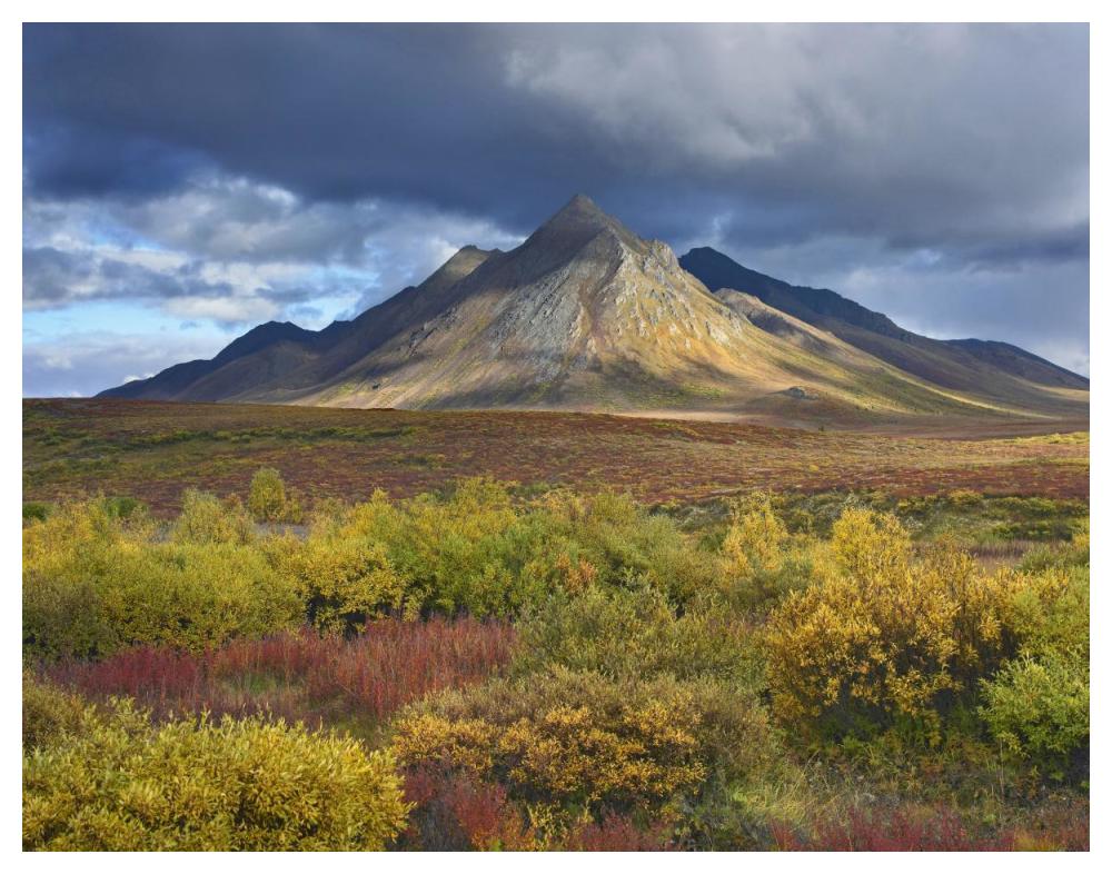 Ogilvie Mountains, Tombstone Territorial Park, Yukon, Canada-Paper Art-50X38