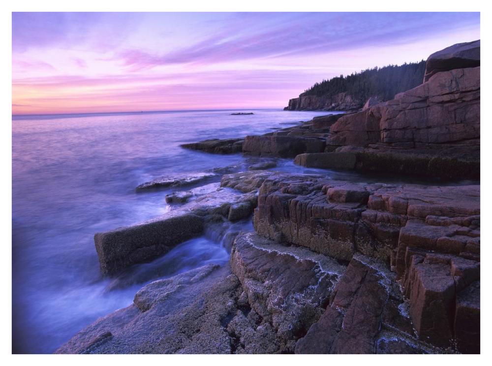 Atlantic Coast Near Thunder Hole, Acadia National Park, Maine-Paper Art-42X32