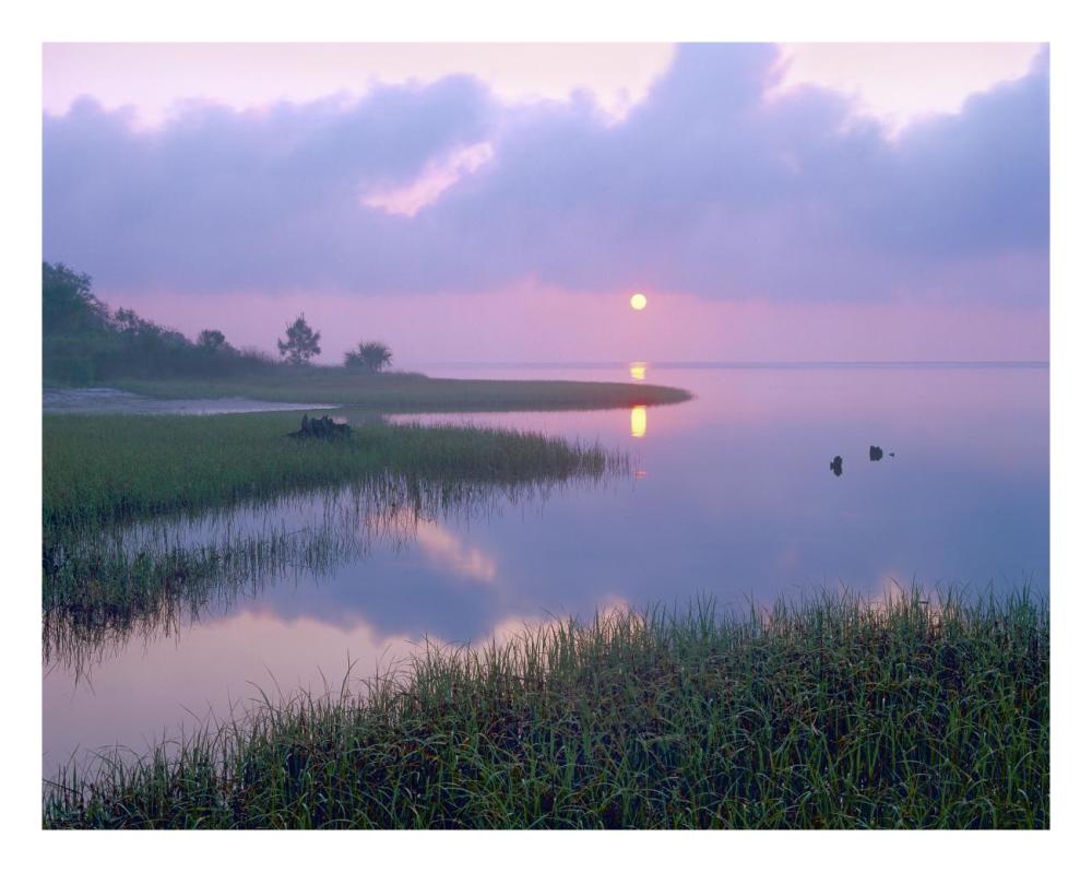 Marsh At Sunrise Over Eagle Bay, St Joseph Peninsula, Florida-Paper Art-26X20