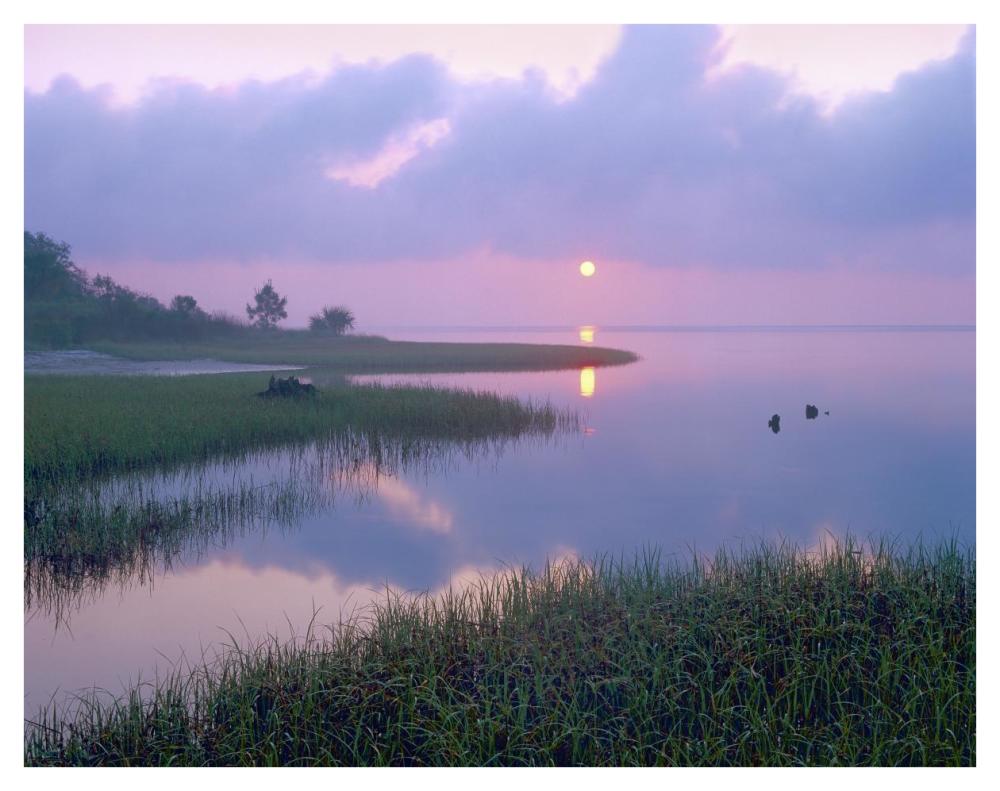 Marsh At Sunrise Over Eagle Bay, St Joseph Peninsula, Florida-Paper Art-42X32