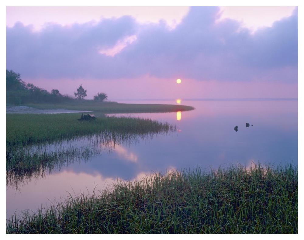 Marsh At Sunrise Over Eagle Bay, St Joseph Peninsula, Florida-Paper Art-50X38