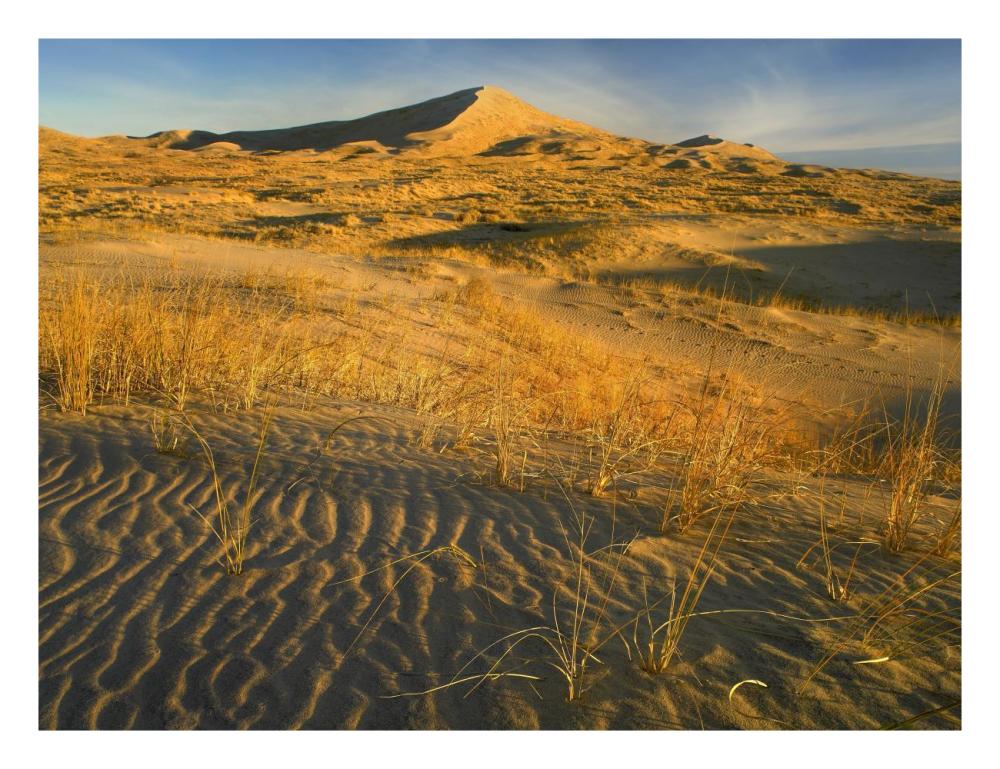 Kelso Dunes And Grasses, Mojave National Preserve, California-Paper Art-26X20