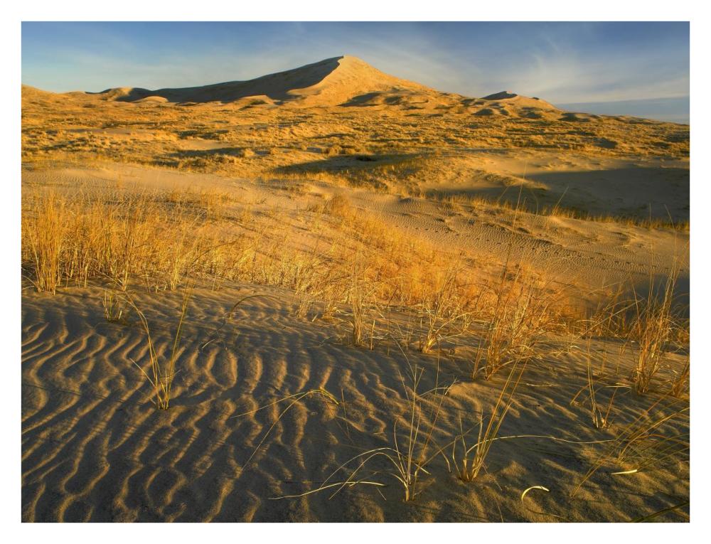 Kelso Dunes And Grasses, Mojave National Preserve, California-Paper Art-34X26