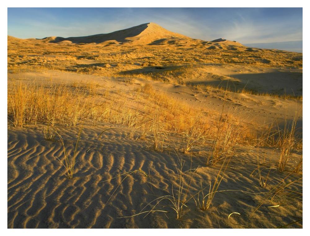 Kelso Dunes And Grasses, Mojave National Preserve, California-Paper Art-42X32