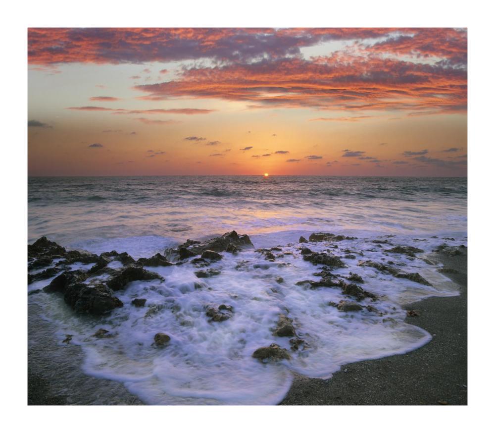 Coast At Sunset, Blowing Rocks Beach, Jupiter Island, Florida-Paper Art-18X15.76