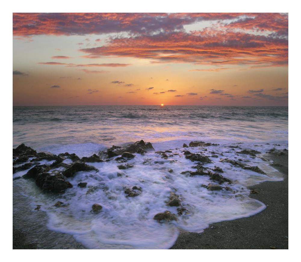 Coast At Sunset, Blowing Rocks Beach, Jupiter Island, Florida-Paper Art-24X20.92