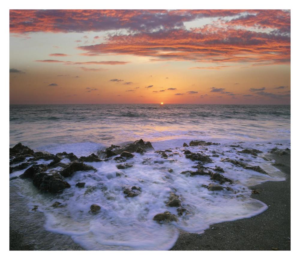 Coast At Sunset, Blowing Rocks Beach, Jupiter Island, Florida-Paper Art-32X27.8