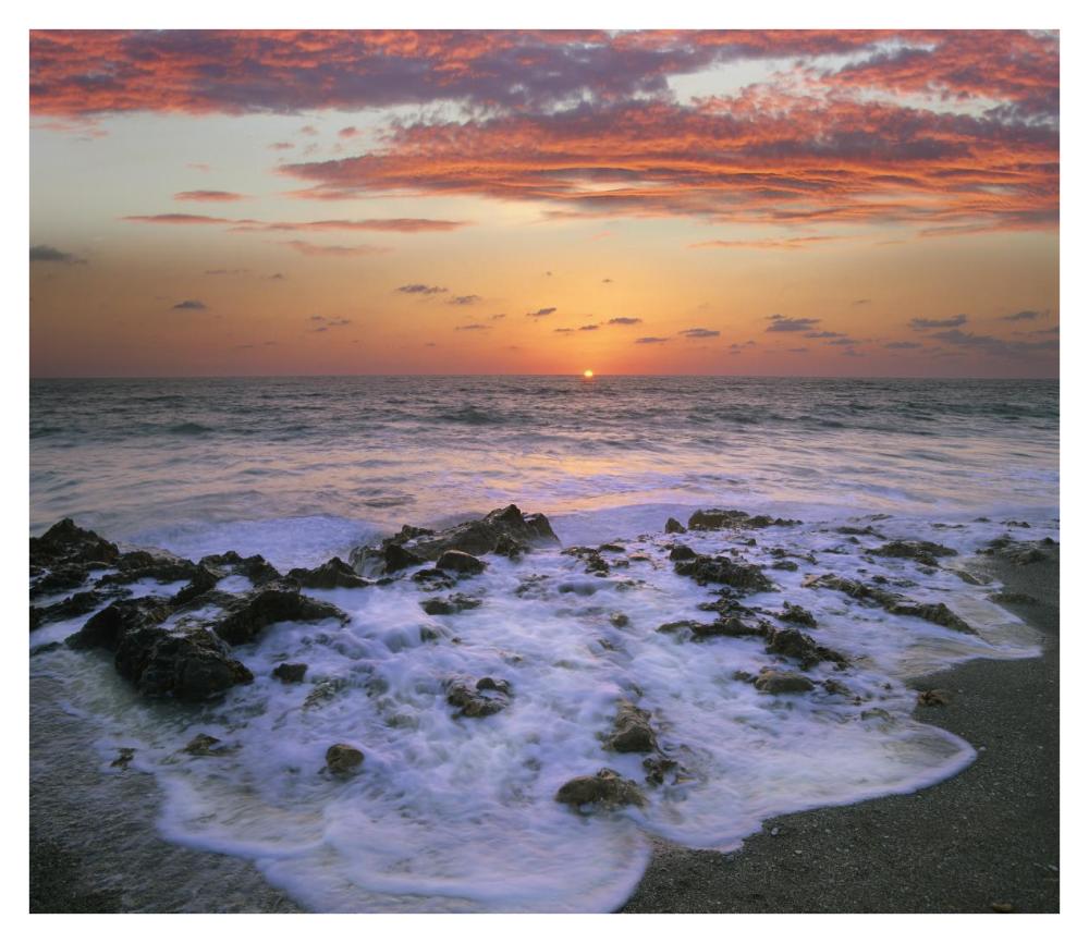 Coast At Sunset, Blowing Rocks Beach, Jupiter Island, Florida-Paper Art-38X32.96
