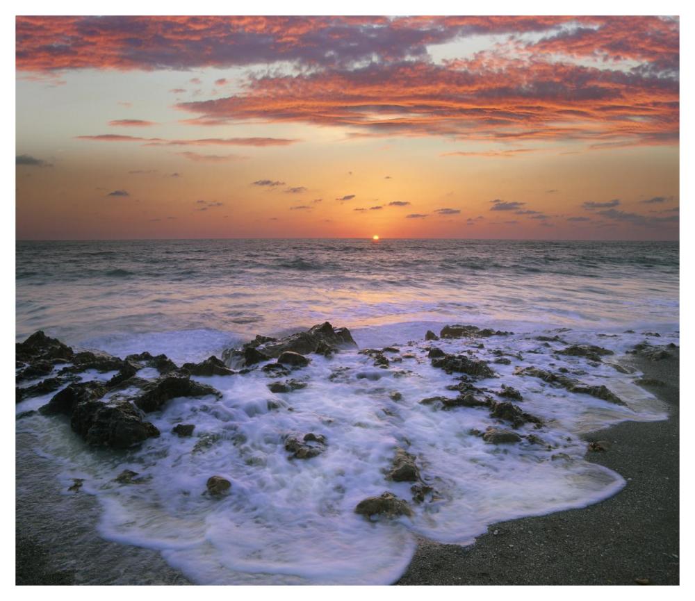 Coast At Sunset, Blowing Rocks Beach, Jupiter Island, Florida-Paper Art-46X39.84