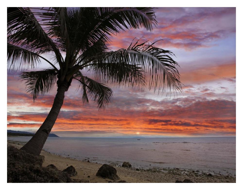 Coconut Palm At Sunset Near Dimiao, Bohol Island, Philippines-Paper Art-18X14