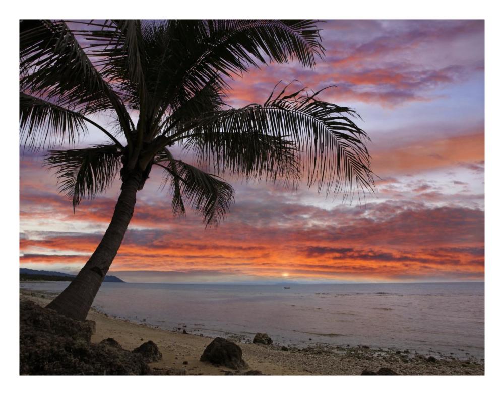 Coconut Palm At Sunset Near Dimiao, Bohol Island, Philippines-Paper Art-26X20