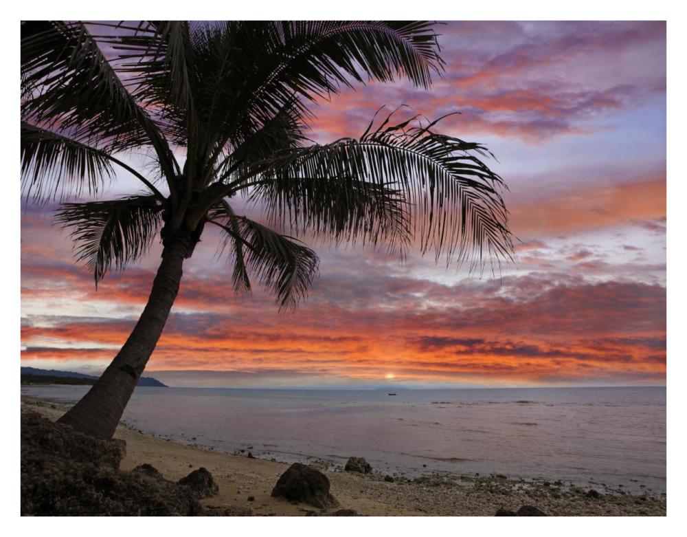 Coconut Palm At Sunset Near Dimiao, Bohol Island, Philippines-Paper Art-34X26