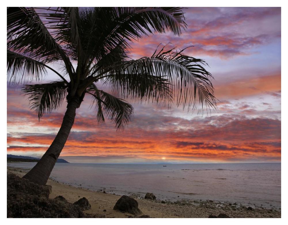 Coconut Palm At Sunset Near Dimiao, Bohol Island, Philippines-Paper Art-42X32