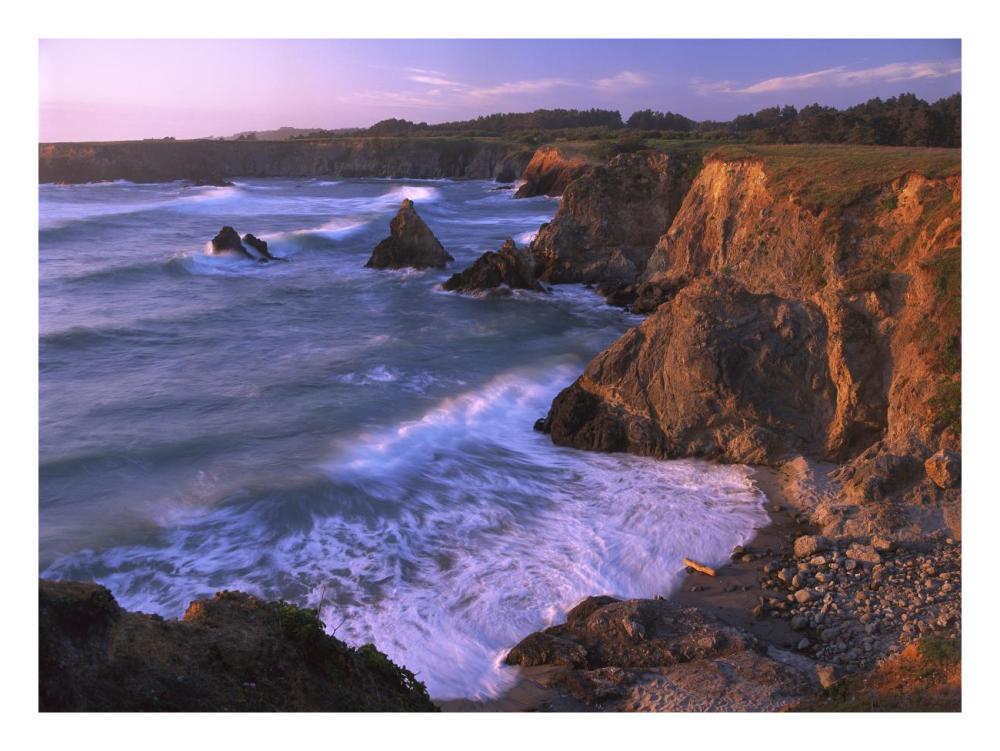 Beach At Jughandle State Reserve, Mendocino County, California-Paper Art-26X20