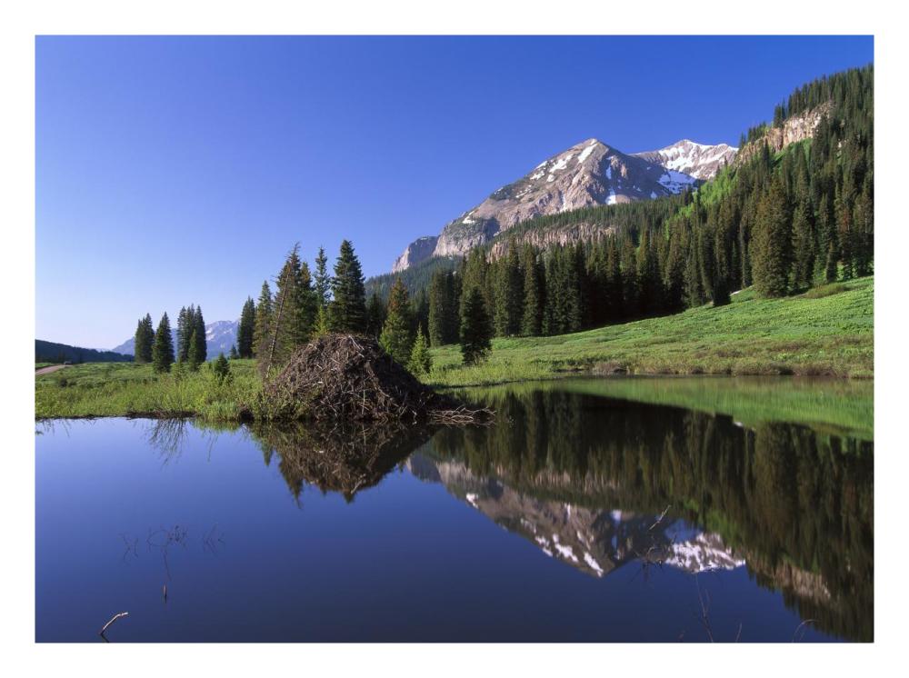 Gothic Mountain And Beaver Lodge, Near Crested Butte, Colorado-Paper Art-26X20