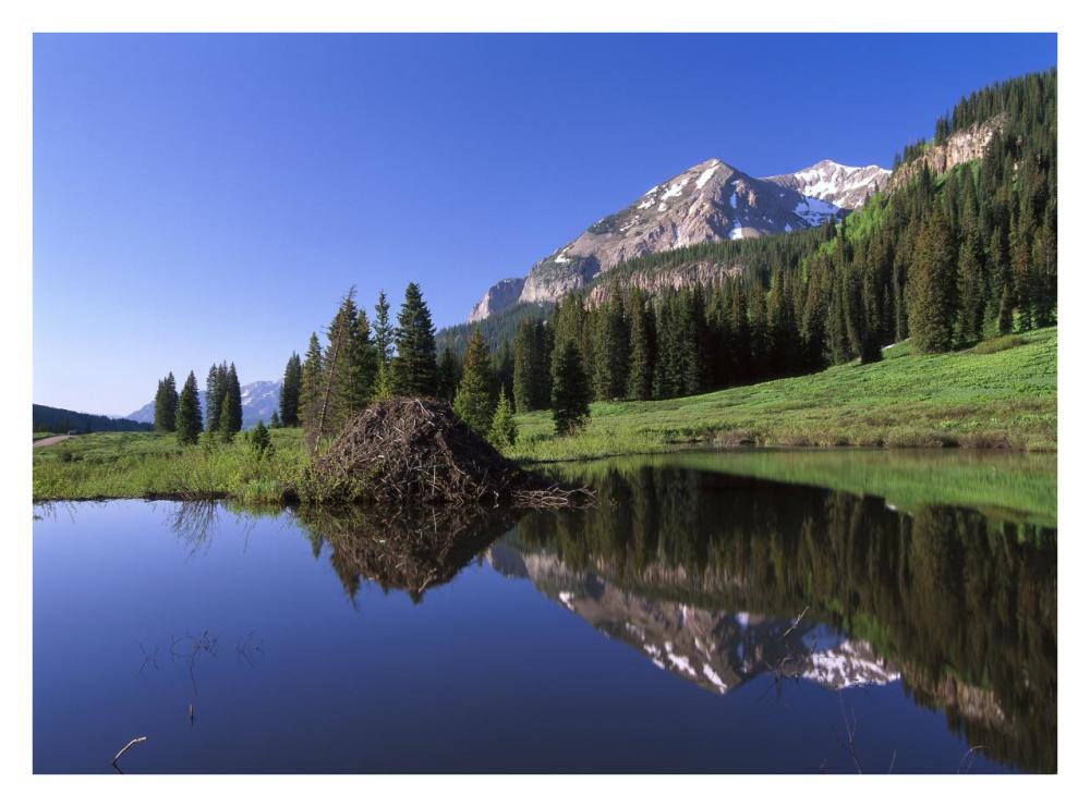 Gothic Mountain And Beaver Lodge, Near Crested Butte, Colorado-Paper Art-34X26