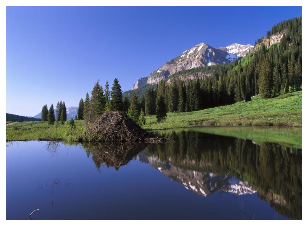 Gothic Mountain And Beaver Lodge, Near Crested Butte, Colorado-Paper Art-50X38