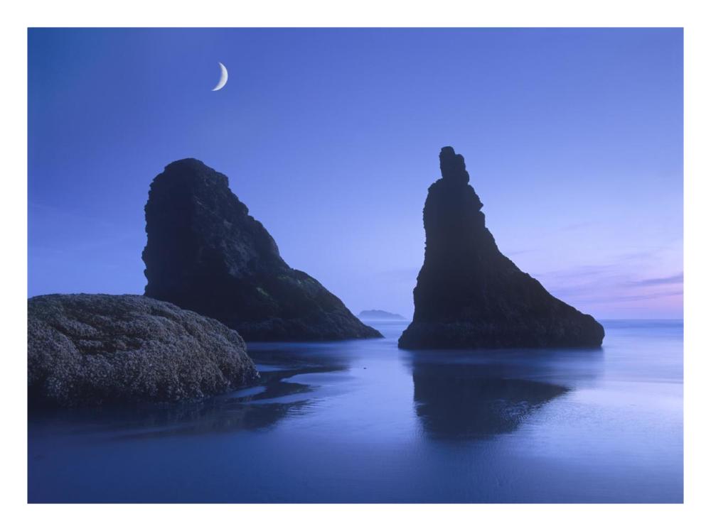 Sea Stacks At Dusk Along Bandon Beach With Rising Moon, Oregon-Paper Art-26X20