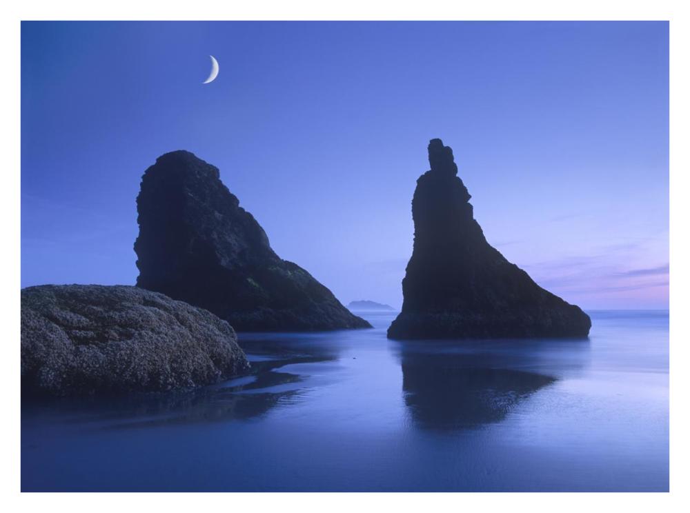 Sea Stacks At Dusk Along Bandon Beach With Rising Moon, Oregon-Paper Art-34X26