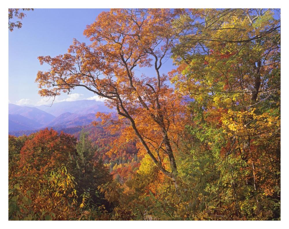Great Smoky Mountains From, Blue Ridge Parkway, North Carolina-Paper Art-18X14