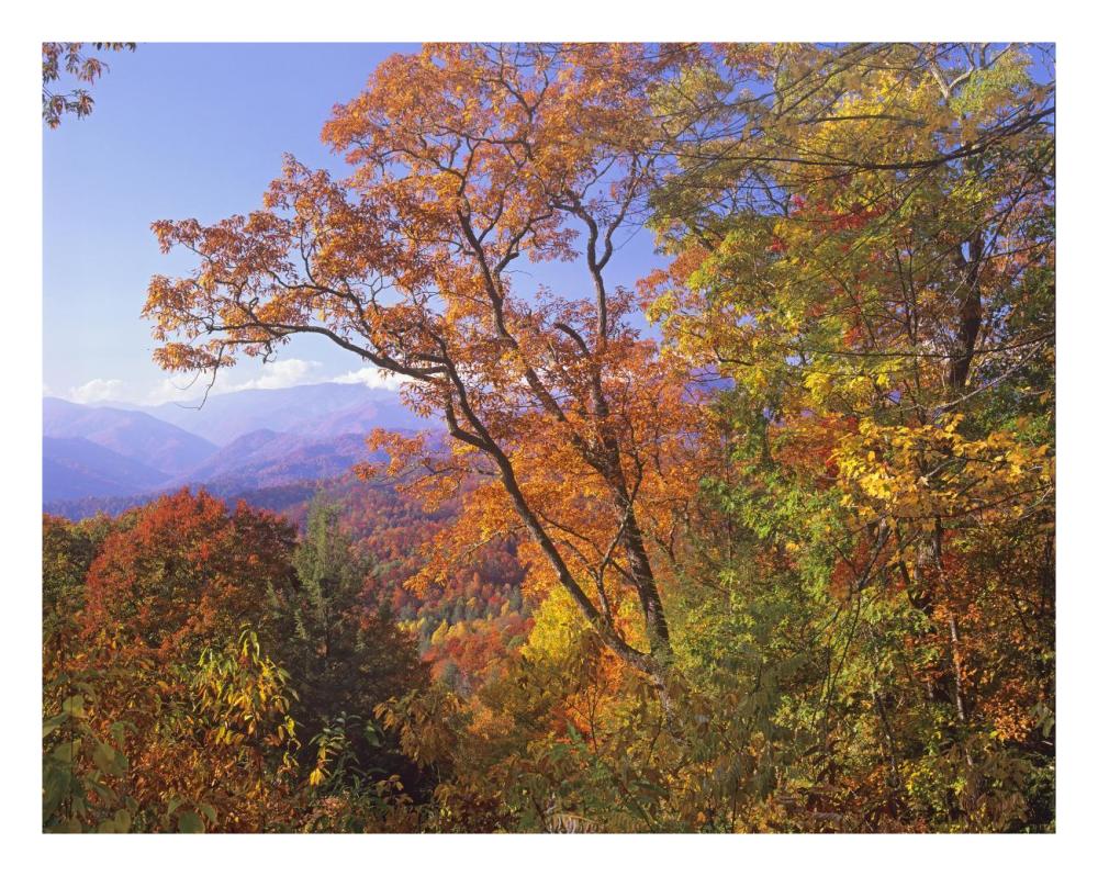 Great Smoky Mountains From, Blue Ridge Parkway, North Carolina-Paper Art-26X20