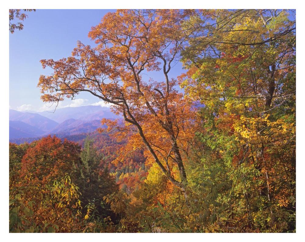 Great Smoky Mountains From, Blue Ridge Parkway, North Carolina-Paper Art-34X26
