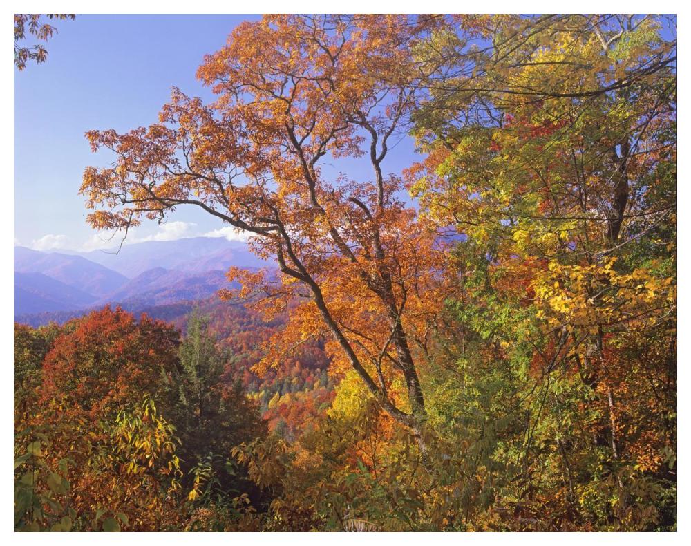 Great Smoky Mountains From, Blue Ridge Parkway, North Carolina-Paper Art-50X38