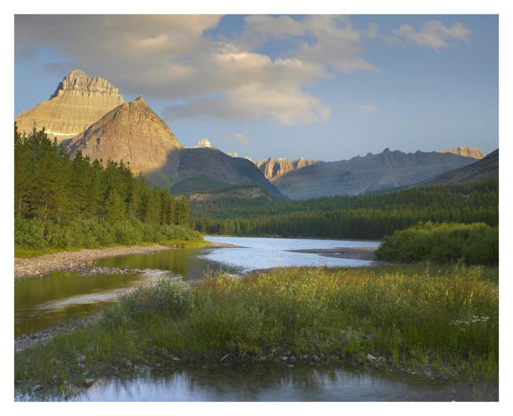 Mount Wilbur At Fishercap Lake, Glacier National Park, Montana-Paper Art-37X30
