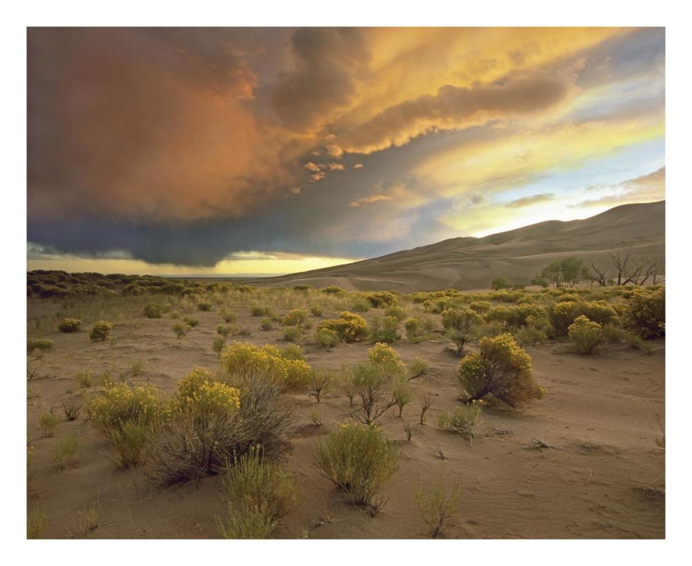 Storm Clouds Over Great Sand Dunes National Monument, Colorado-Paper Art-26X22