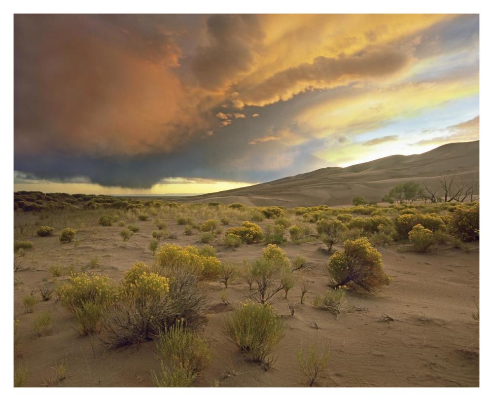 Storm Clouds Over Great Sand Dunes National Monument, Colorado-Paper Art-37X30