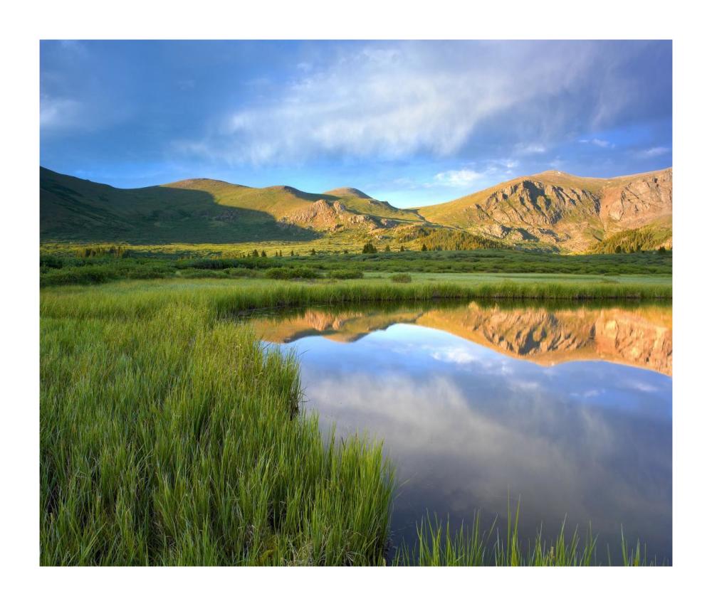 Mount Bierstadt From Guanella Pass Reflected In Pond, Colorado-Paper Art-18X15.28