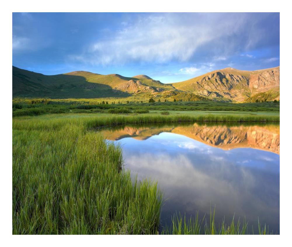 Mount Bierstadt From Guanella Pass Reflected In Pond, Colorado-Paper Art-24X20.26