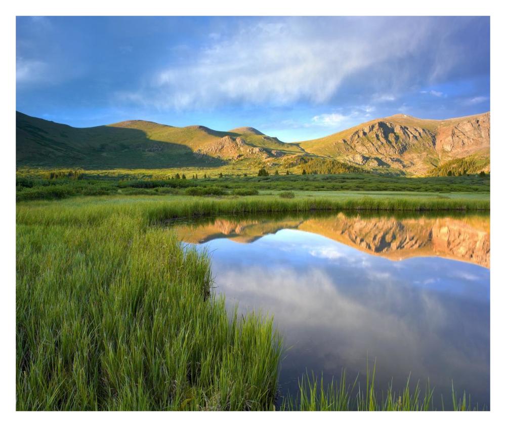 Mount Bierstadt From Guanella Pass Reflected In Pond, Colorado-Paper Art-32X26.9