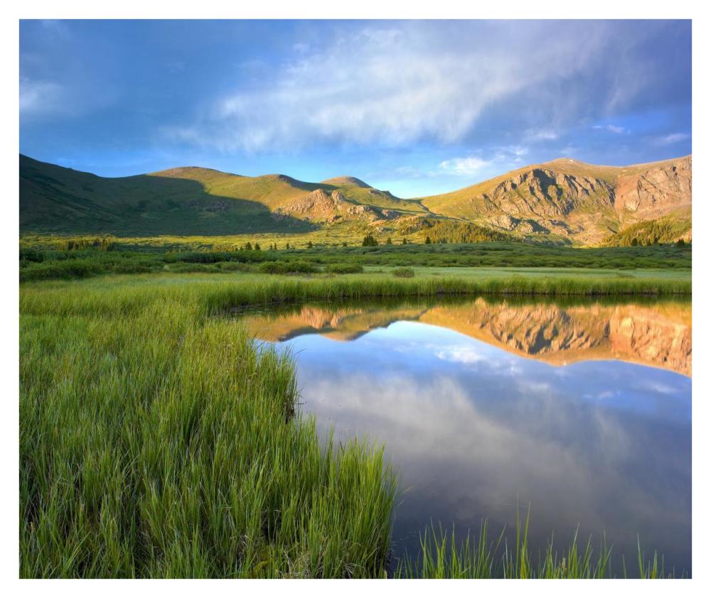 Mount Bierstadt From Guanella Pass Reflected In Pond, Colorado-Paper Art-38X31.88