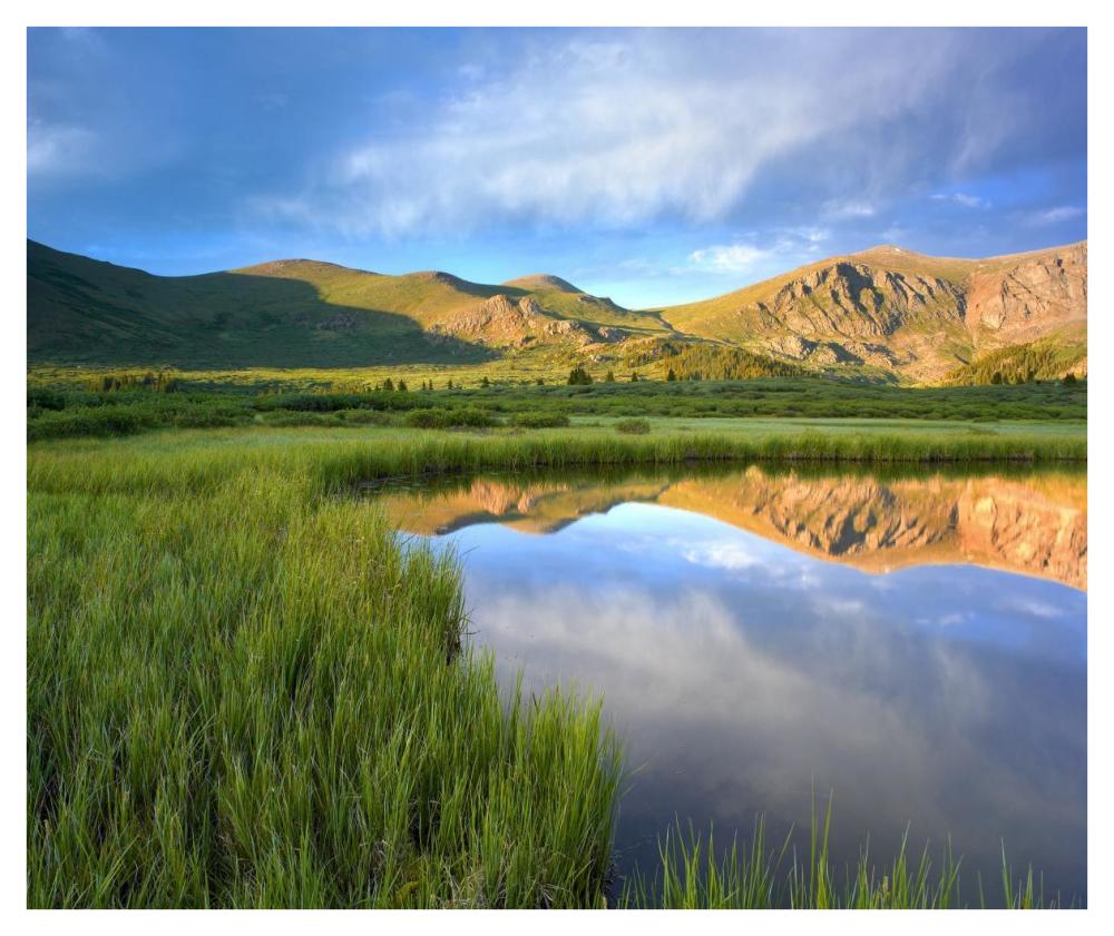 Mount Bierstadt From Guanella Pass Reflected In Pond, Colorado-Paper Art-42X35.2